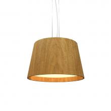 Accord Lighting Canada West (USD) 1145.09 - Conical Accord Pendant 1145