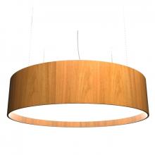 Accord Lighting Canada West (USD) 204LED.09 - Cylindrical Accord Pendant 204 LED