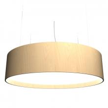 Accord Lighting Canada West (USD) 204LED.34 - Cylindrical Accord Pendant 204 LED