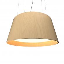 Accord Lighting Canada West (USD) 255LED.34 - Conical Accord Pendant 255 LED