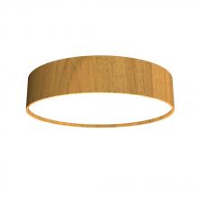 Accord Lighting Canada West (USD) 5014LED.09 - Cylindrical Accord Ceiling Mounted 5014 LED