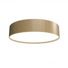 Accord Lighting Canada West (USD) 504LED.45 - Cylindrical Accord Ceiling Mounted 504 LED