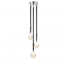 Lib & Co. CA 12064-02 - Bellissima, 3 Light LED Pendant, Black Sleeves