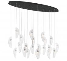 Lib & Co. CA 12220-017-02 - Sorrento, 22 Light Oval LED Chandelier, Clear, Black Canopy