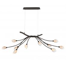 Lib & Co. CA 12234-043 - Modena, 10 Light Oval LED Chandelier,
 Black with Gold Accent