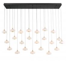 Lib & Co. CA 12243-02 - Adelfia, 23 light Rectangular LED Chandelier, Matte Black