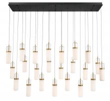 Lib & Co. CA 12249-02 - Verona, 23 light Rectangular LED Chandelier, Matte Black