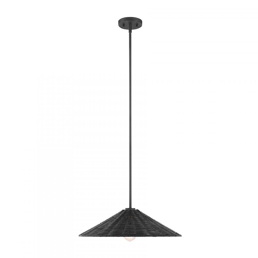 1-Light Pendant in Matte Black