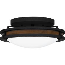 Quoizel QFL5610NI - Quoizel Flush Mount