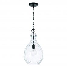 Capital Canada 349012MB - 1 Light Pendant