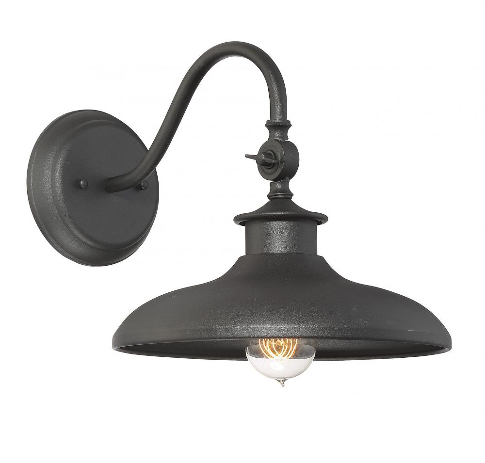 Raleigh 1-Light Outdoor Wall Lantern in Black