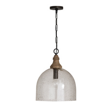  336011YP-484 - 1 Light Pendant