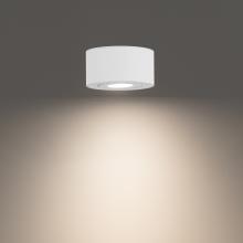 WAC Canada FM-W45205-35-WT - Peek Outdoor Flush Mount Light