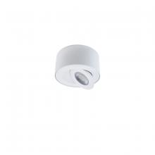 Modern Forms Canada FM-W44205-35-WT - I Spy Outdoor Flush Mount Light