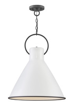 Hinkley Canada 3555PT - Large Pendant