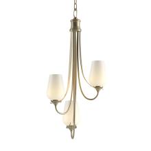 Hubbardton Forge - Canada 103033-SKT-84-GG0303 - Flora 3 Arm Chandelier