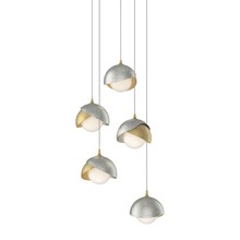 Hubbardton Forge - Canada 131125-SKT-LONG-86-85-GG0711 - Brooklyn 5-Light Double Shade Pendant