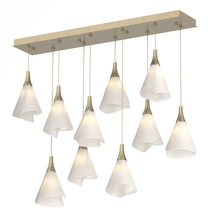 Hubbardton Forge - Canada 131202-SKT-STND-84-SH1987 - Mobius 10-Light Pendant