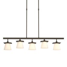 Hubbardton Forge - Canada 136605-SKT-LONG-07-GG0242 - Wren 5 Light Pendant