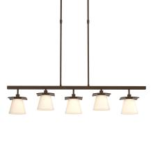 Hubbardton Forge - Canada 136605-SKT-SHRT-05-GG0242 - Wren 5 Light Pendant