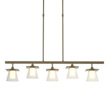 Hubbardton Forge - Canada 136605-SKT-SHRT-84-ZU0284 - Wren 5 Light Pendant