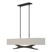 Hubbardton Forge - Canada 137655-SKT-STND-10-SJ4298 - Moreau Pendant