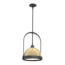 Hubbardton Forge - Canada 187462-SKT-MULT-14-86 - Atlas Small Pendant