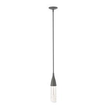 Hubbardton Forge - Canada 188900-SKT-MULT-20-ZM0617 - Fritz Mini Pendant