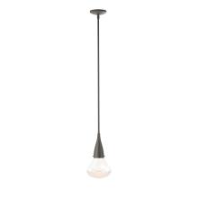 Hubbardton Forge - Canada 188902-SKT-MULT-07-ZM0676 - Fritz Large Pendant