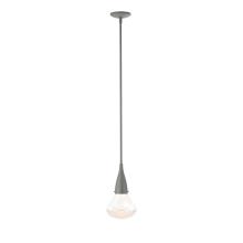 Hubbardton Forge - Canada 188902-SKT-MULT-20-ZM0676 - Fritz Large Pendant