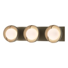 Hubbardton Forge - Canada 201378-SKT-84-84-GG0711 - Brooklyn 3-Light Straight Double Shade Bath Sconce