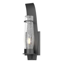 Hubbardton Forge - Canada 304210-SKT-80-II0159 - Sea Coast Small Outdoor Sconce