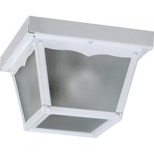 Outdoor Flush Mounts